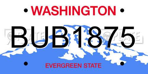 BUB1875 Washington License Plate