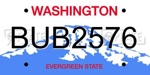 BUB2576 Washington License Plate