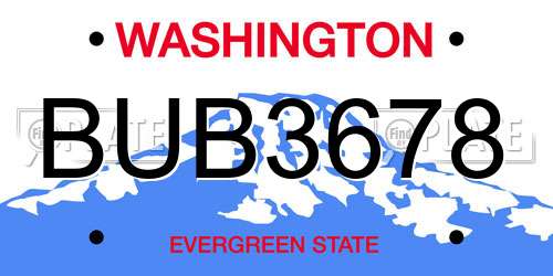 BUB3678 Washington License Plate