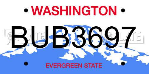 BUB3697 Washington License Plate