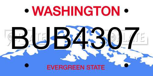 BUB4307 Washington License Plate