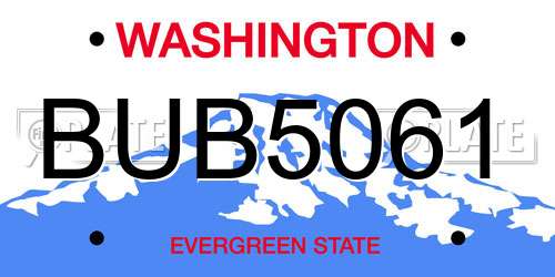 BUB5061 Washington License Plate