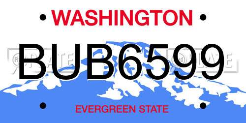BUB6599 Washington License Plate