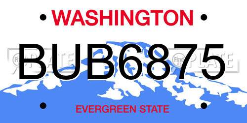 BUB6875 Washington License Plate