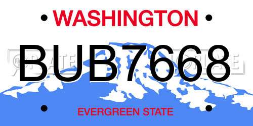 BUB7668 Washington License Plate