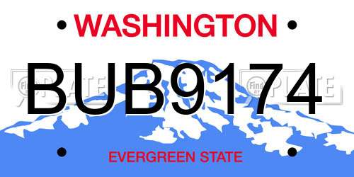 BUB9174 Washington License Plate