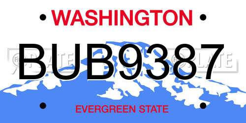 BUB9387 Washington License Plate
