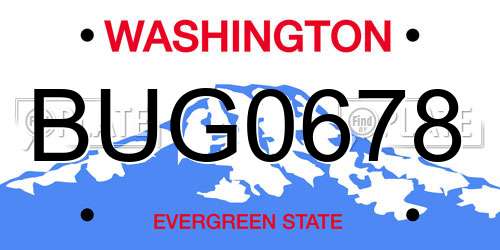 BUG0678 Washington License Plate