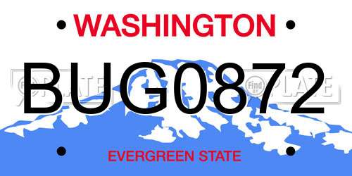 BUG0872 Washington License Plate