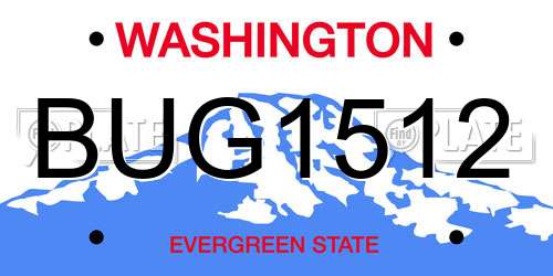 BUG1512 Washington License Plate