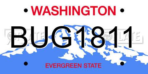 BUG1811 Washington License Plate