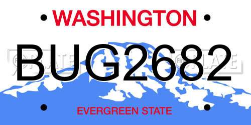 BUG2682 Washington License Plate