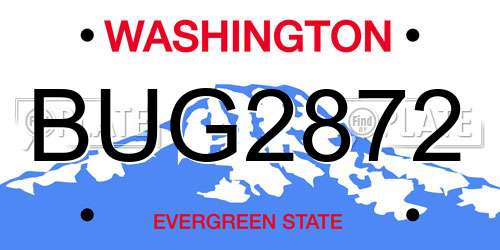 BUG2872 Washington License Plate