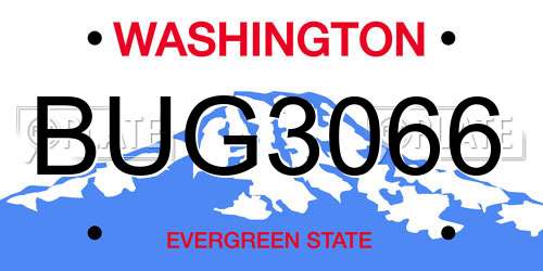 BUG3066 Washington License Plate