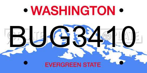 BUG3410 Washington License Plate