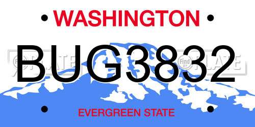 BUG3832 Washington License Plate