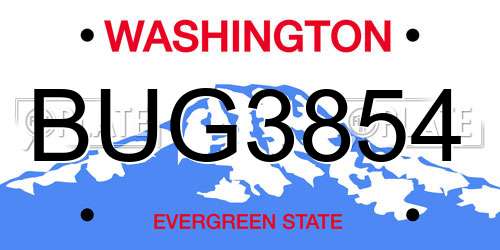 BUG3854 Washington License Plate
