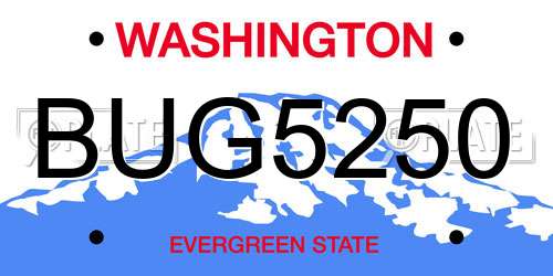 BUG5250 Washington License Plate