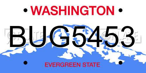BUG5453 Washington License Plate