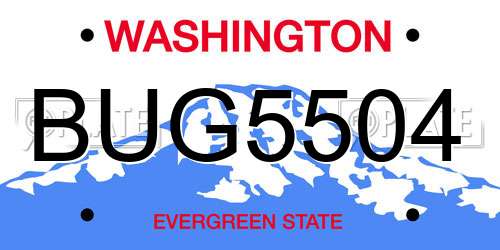 BUG5504 Washington License Plate