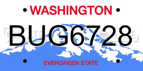 BUG6728 Washington License Plate