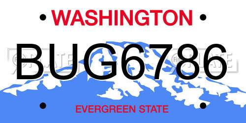 BUG6786 Washington License Plate