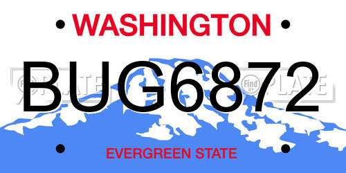 BUG6872 Washington License Plate