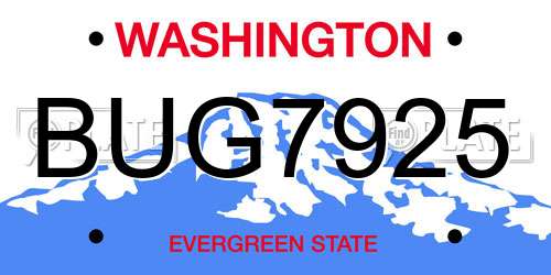 BUG7925 Washington License Plate