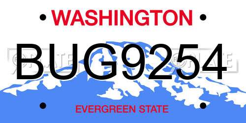 BUG9254 Washington License Plate