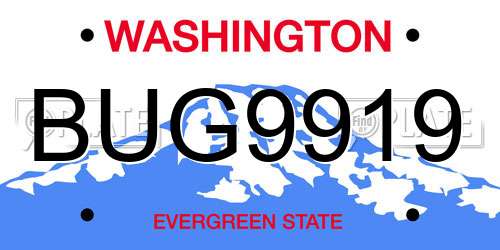BUG9919 Washington License Plate