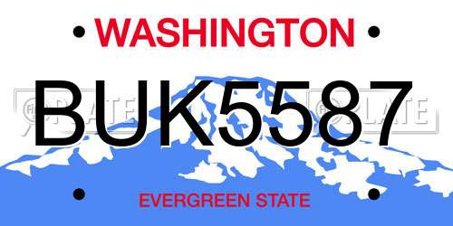 BUK5587 Washington License Plate