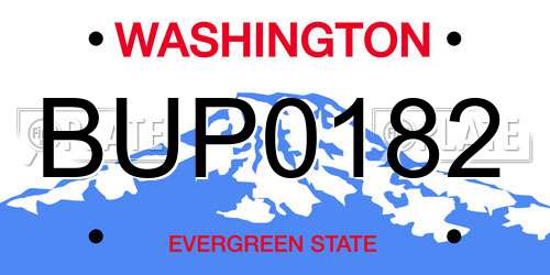 BUP0182 Washington License Plate