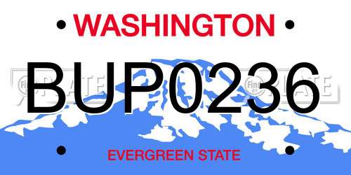 BUP0236 Washington License Plate