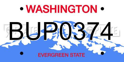 BUP0374 Washington License Plate