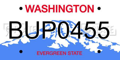 BUP0455 Washington License Plate