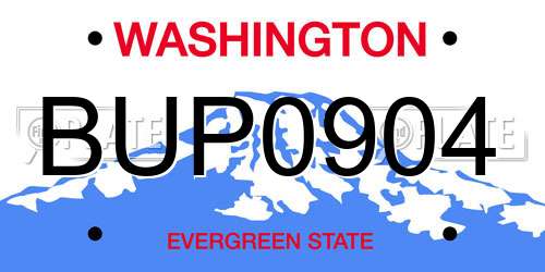 BUP0904 Washington License Plate