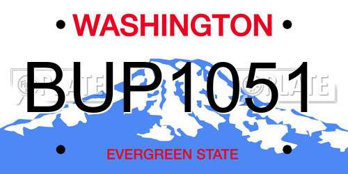 BUP1051 Washington License Plate