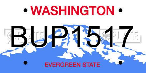 BUP1517 Washington License Plate