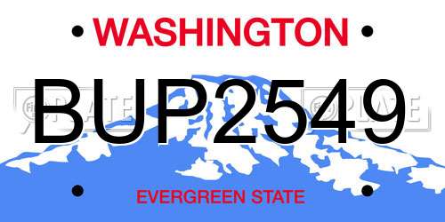 BUP2549 Washington License Plate