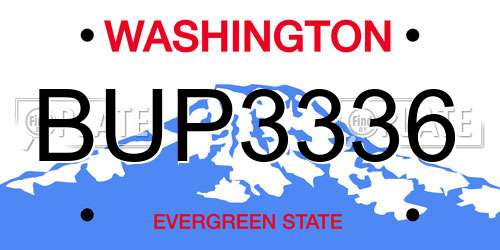 BUP3336 Washington License Plate