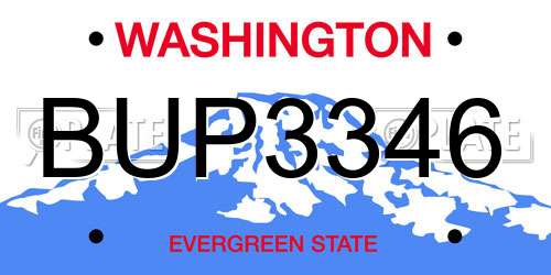 BUP3346 Washington License Plate