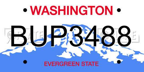 BUP3488 Washington License Plate