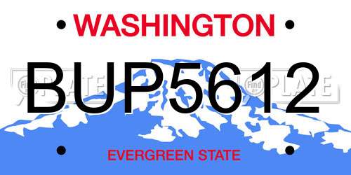 BUP5612 Washington License Plate