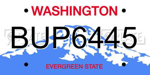 BUP6445 Washington License Plate