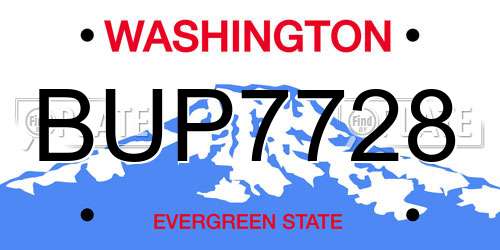 BUP7728 Washington License Plate