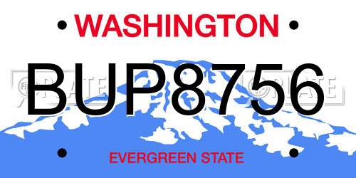 BUP8756 Washington License Plate
