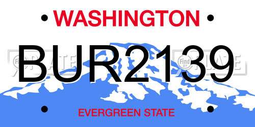 BUR2139 Washington License Plate