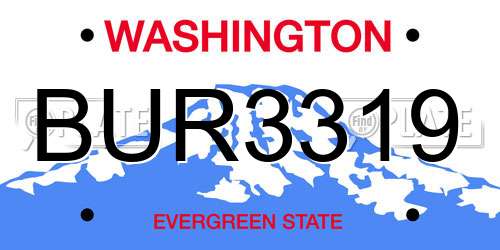 BUR3319 Washington License Plate