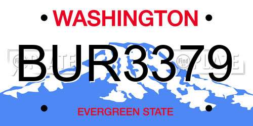 BUR3379 Washington License Plate