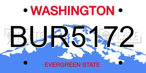 BUR5172 Washington License Plate